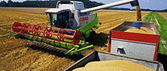 commodity_agricultural - Основные инструменты товарного рынка: скот, пшеница, сахар, молоко